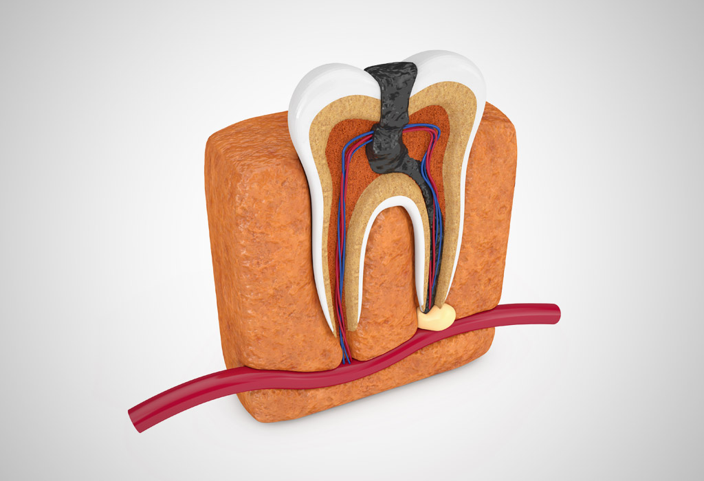 odontología general en Burgos